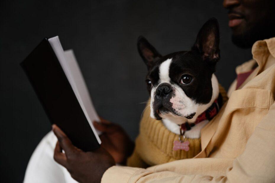 Illustration of How Naming a Pet After a Hobby Reflects the Owner's Own Interests