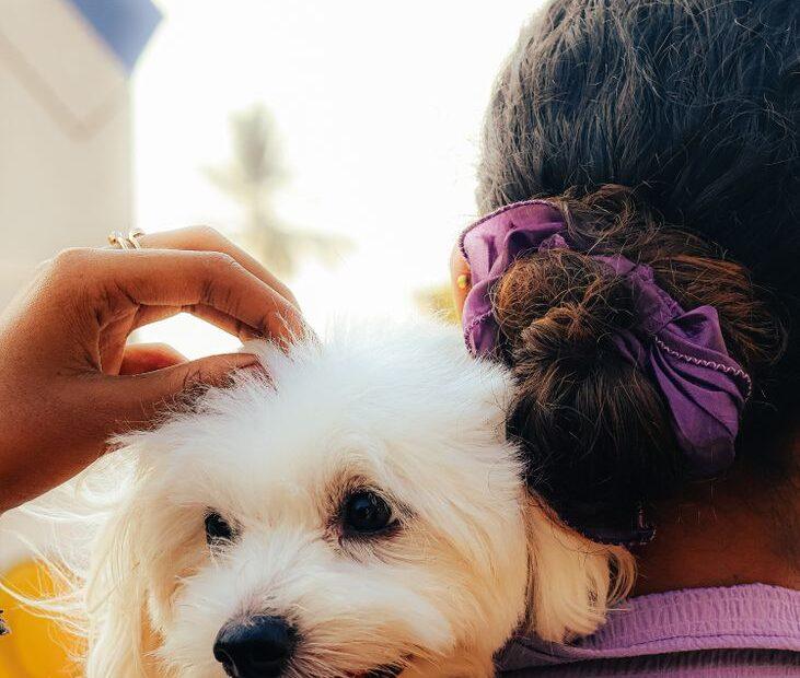 Illustration of The Everyday Habits Behind Naming a Pet to Match Its Energy Level