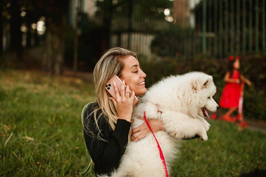 Illustration of Why Certain Sounds Travel Better Outdoors Than Others for Calling Pets