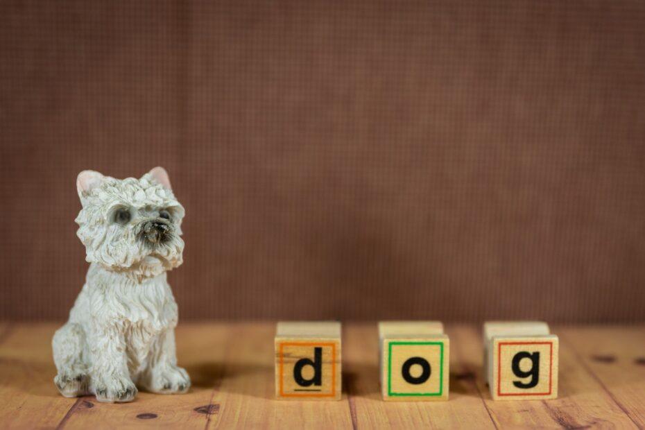 Illustration of Why Compound Words Are Becoming a Popular Naming Trend for Pets