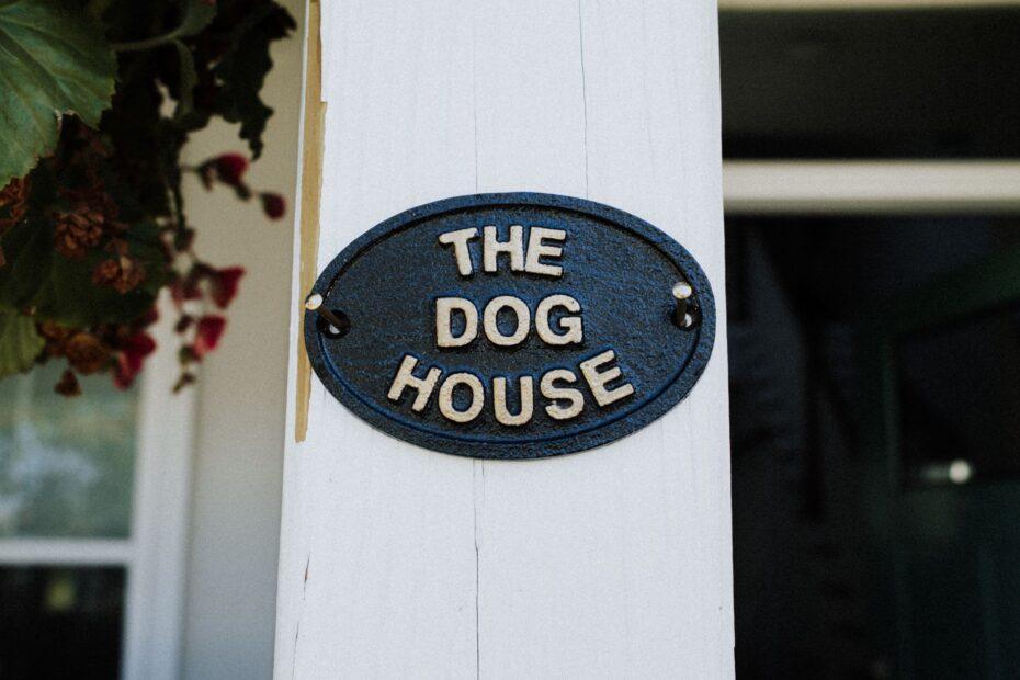 Illustration of Why Some Owners Prefer Names That Are Easy to Shout Across a Yard